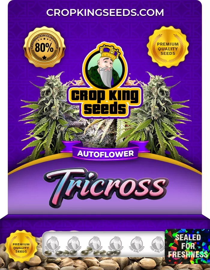 Tricross Autoflowering Feminized Marijuana Seeds