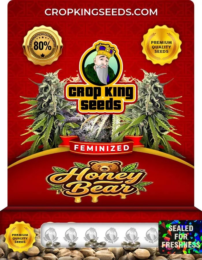 Honey Bear Strain Feminized Seeds