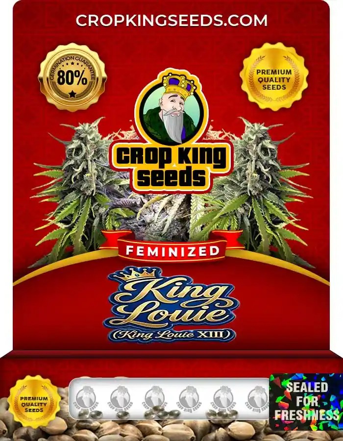 King Louie XIII Strain Feminized Seeds