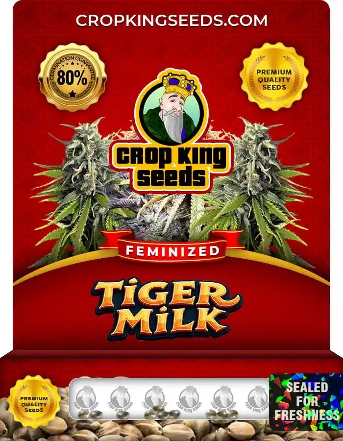 Tiger Milk Strain Feminized Marijuana Seeds