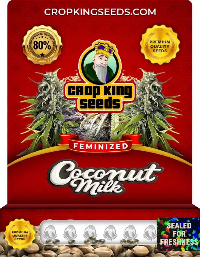 Coconut Milk Feminized Seeds