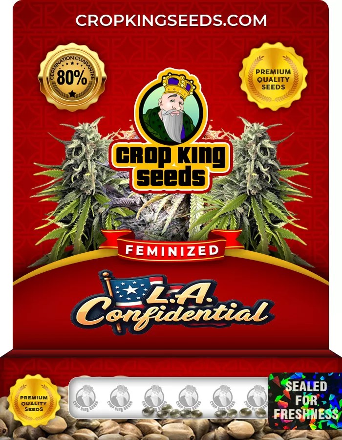 L.A. Confidential Feminized Marijuana Seeds