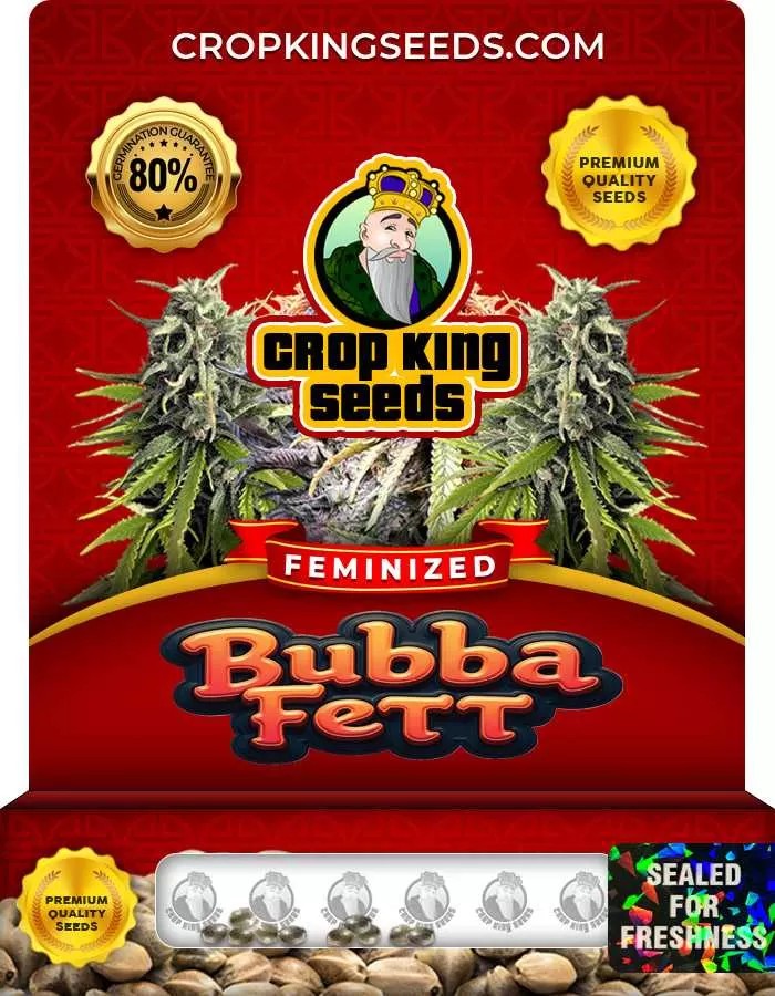 Bubba Fett Strain Feminized Seeds