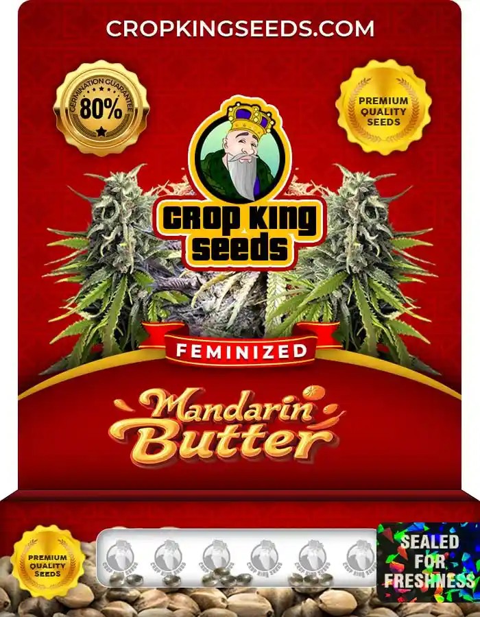 Mandarin Butter Feminized Seeds