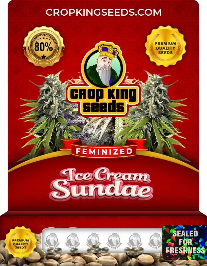 Ice Cream Sundae Strain Feminized Marijuana Seeds