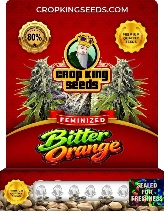 Bitter Orange Strain Feminized Seeds