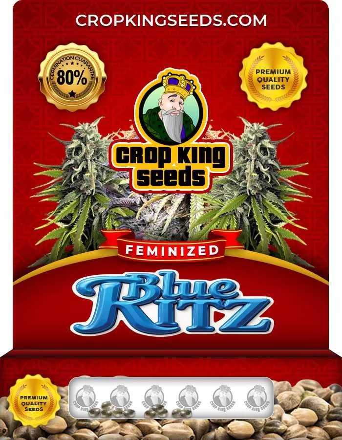 Blue Ritz Feminized Seeds