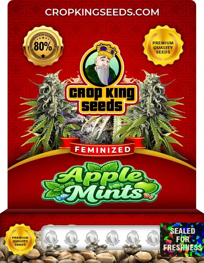 Apple Mints Strain Feminized Seeds