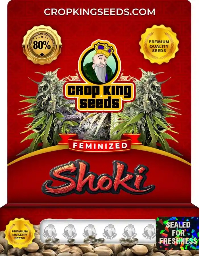 Shoki Strain Feminized Seeds