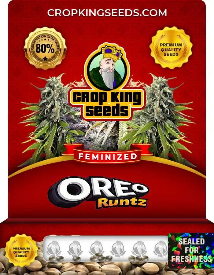 Oreo Runtz Strain Feminized Marijuana Seeds