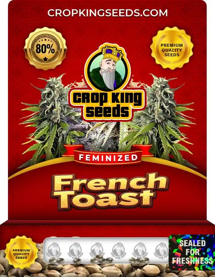 French Toast Strain Feminized Marijuana Seeds