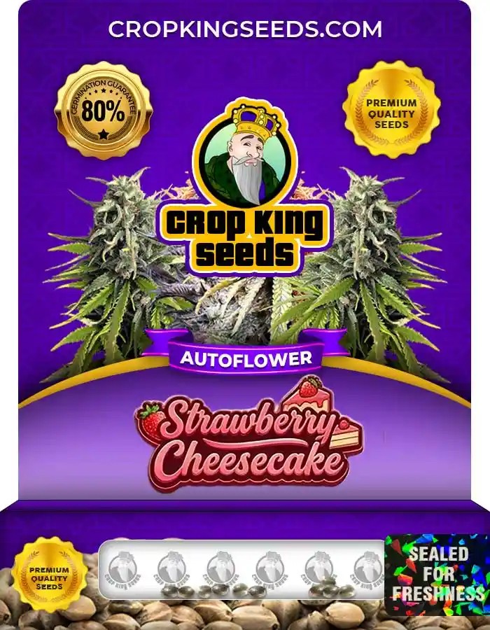 Strawberry Cheesecake Autoflower Seeds