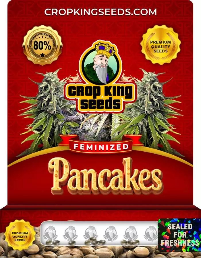 Pancakes Feminized Seeds