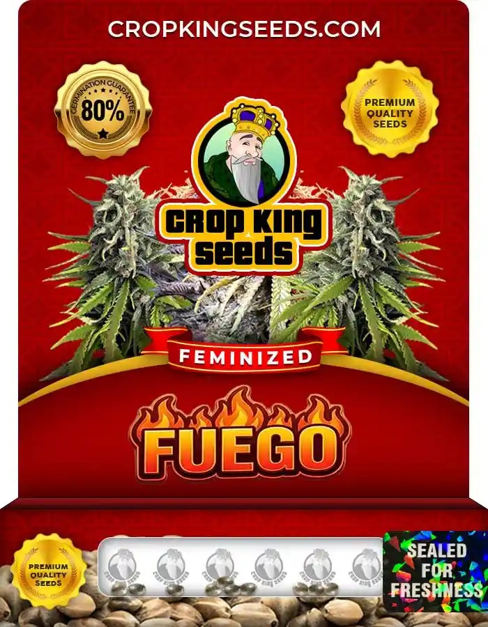 Fuego Feminized Seeds