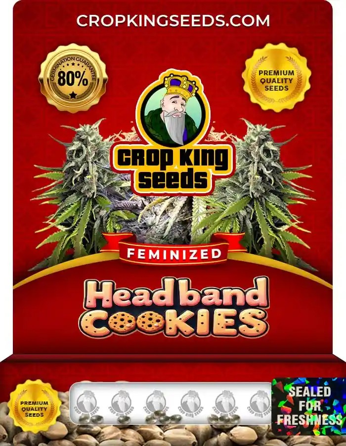 Headband Cookies Strain Feminized Marijuana Seeds
