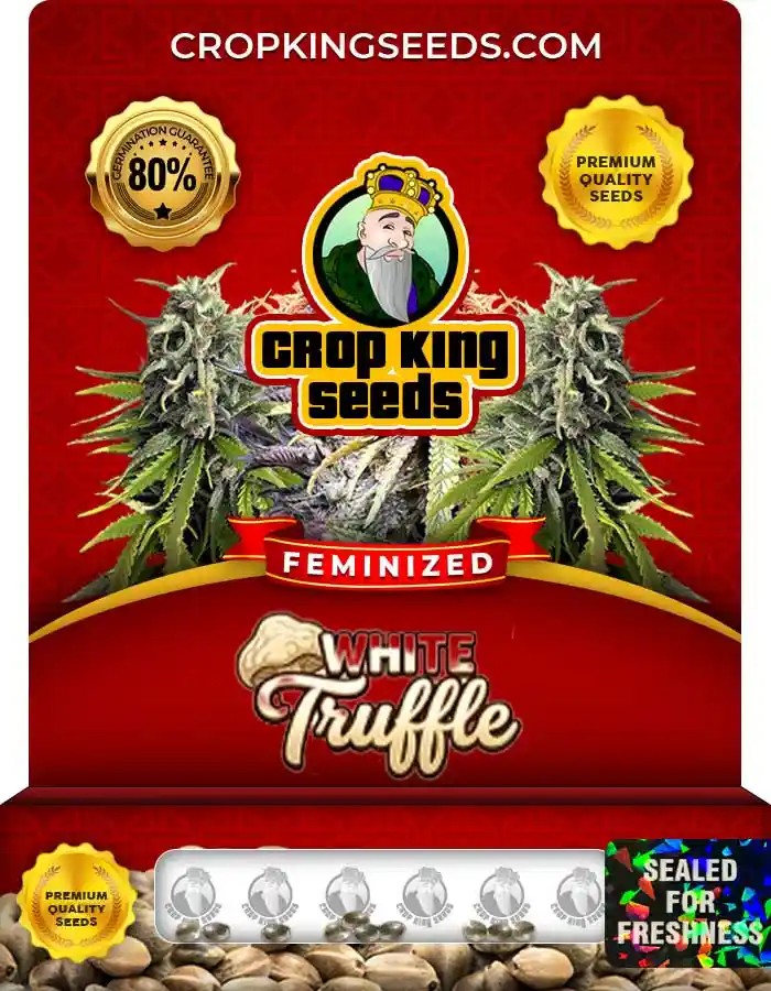 White Truffle Strain Feminized Seeds