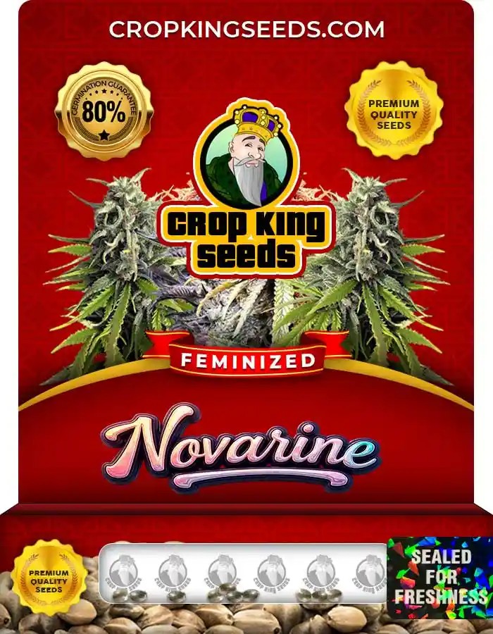 Novarine Strain Feminized Marijuana Seeds