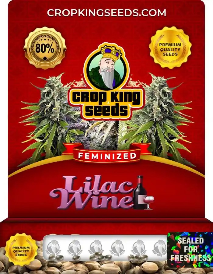 Lilac Wine Feminized Seeds