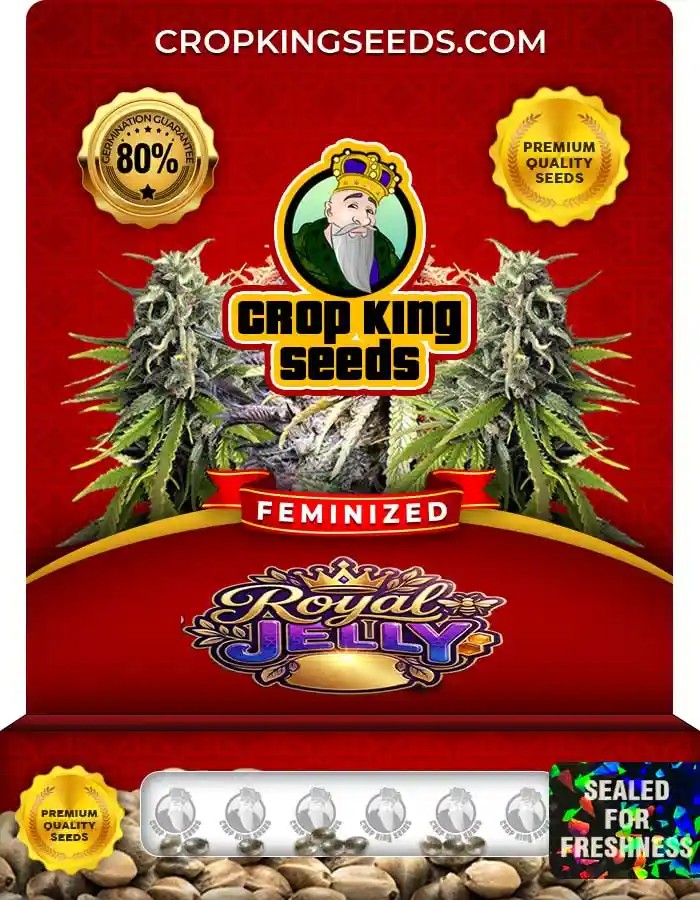 Royal Jelly Strain Feminized Seeds