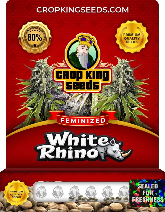 White Rhino Strain Feminized Marijuana Seeds
