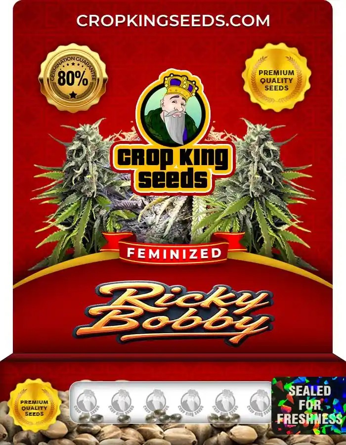 Ricky Bobby Strain Feminized Marijuana Seeds
