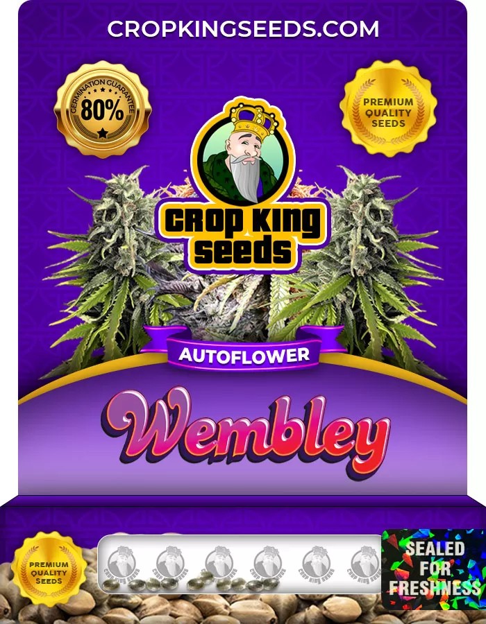 Wembley Autoflower Marijuana Seeds