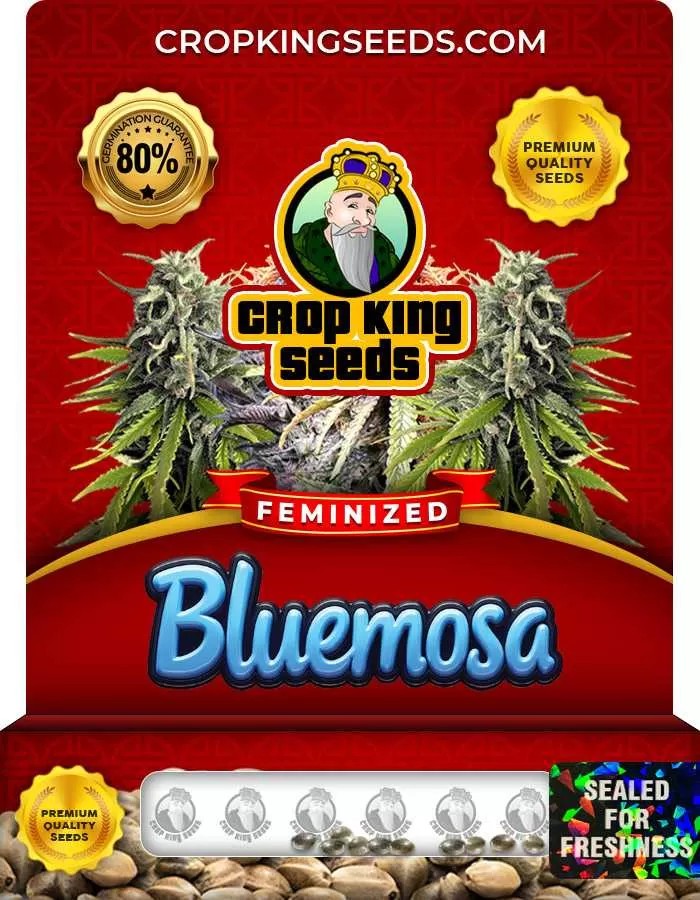 Bluemosa Feminized Seeds