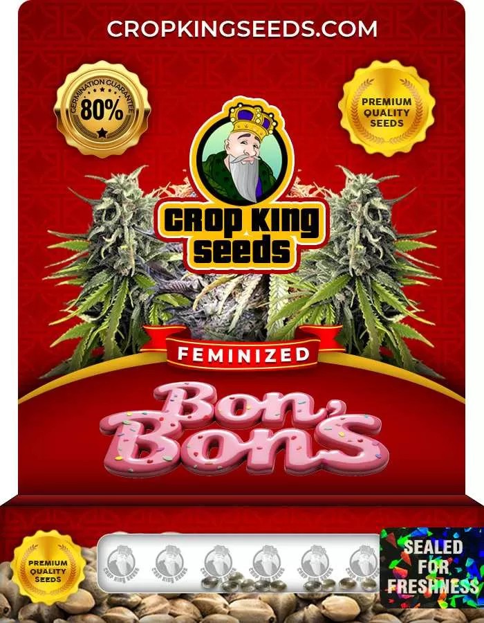 Bon Bons Strain Feminized Marijuana Seeds