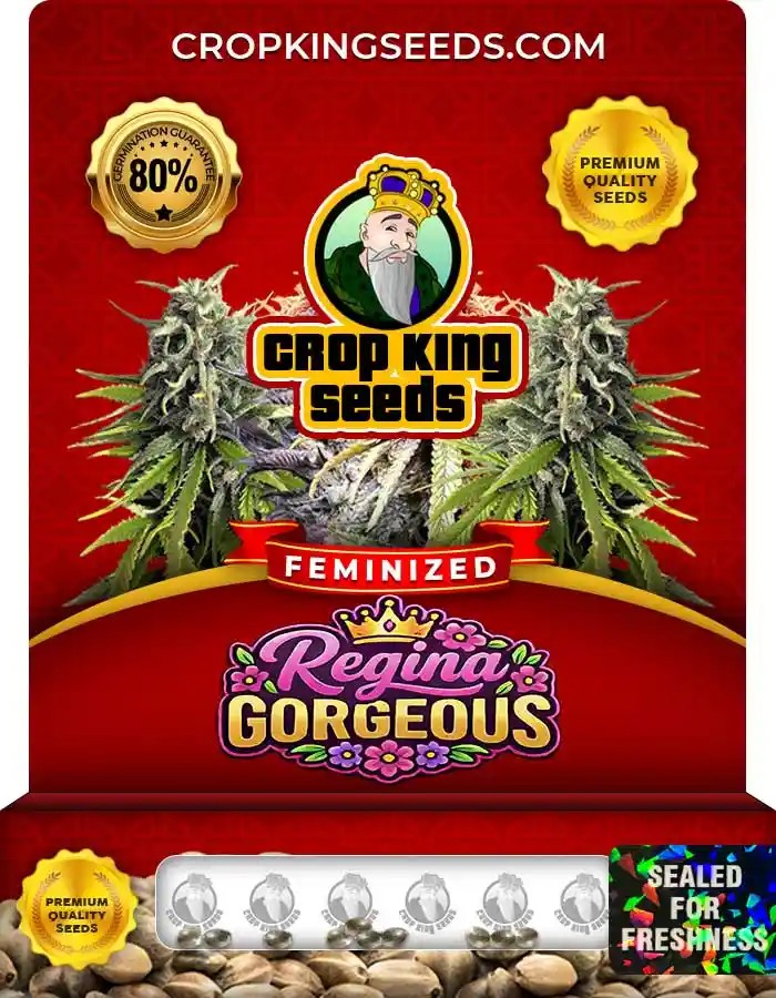 Regina Gorgeous Strain Feminized Seeds
