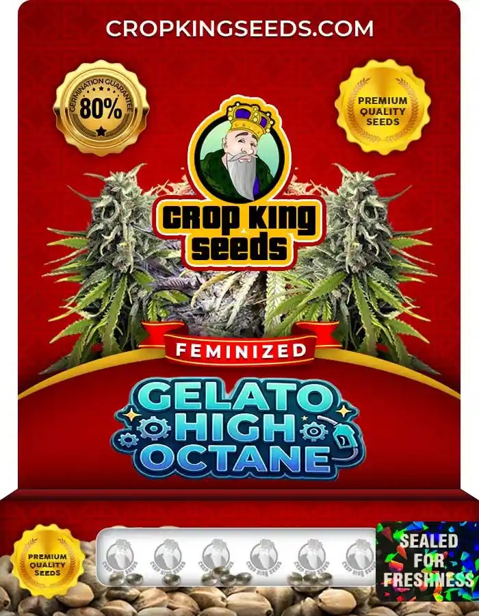 Gelato High Octane Feminized Seeds