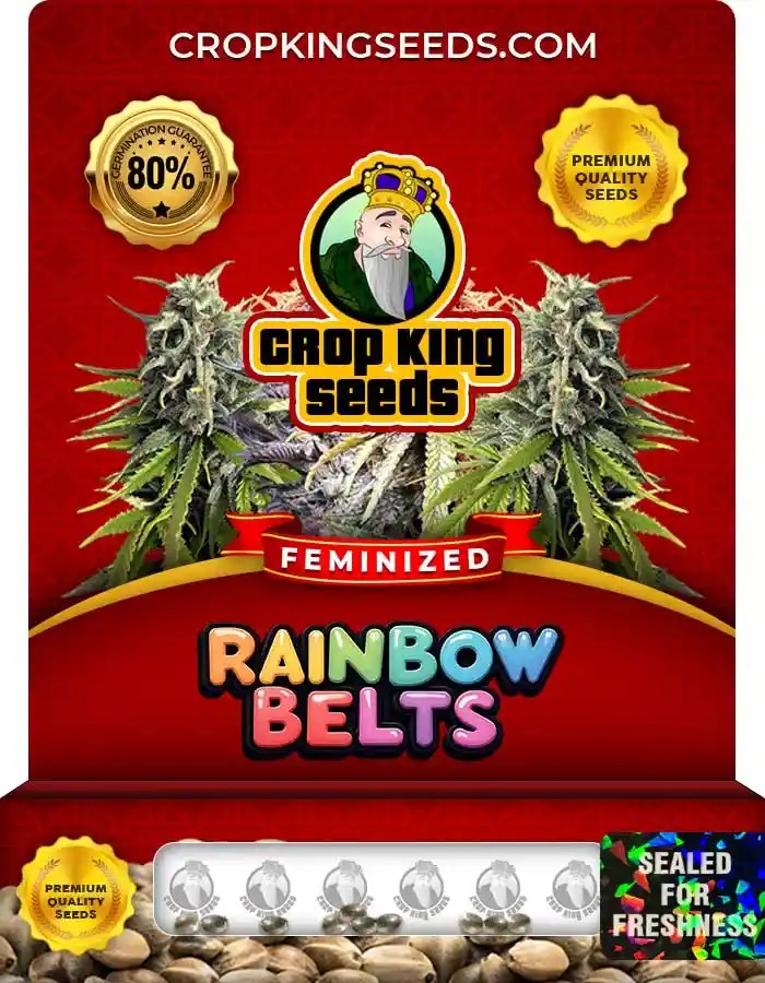 Rainbow Belts Strain Feminized Marijuana Seeds