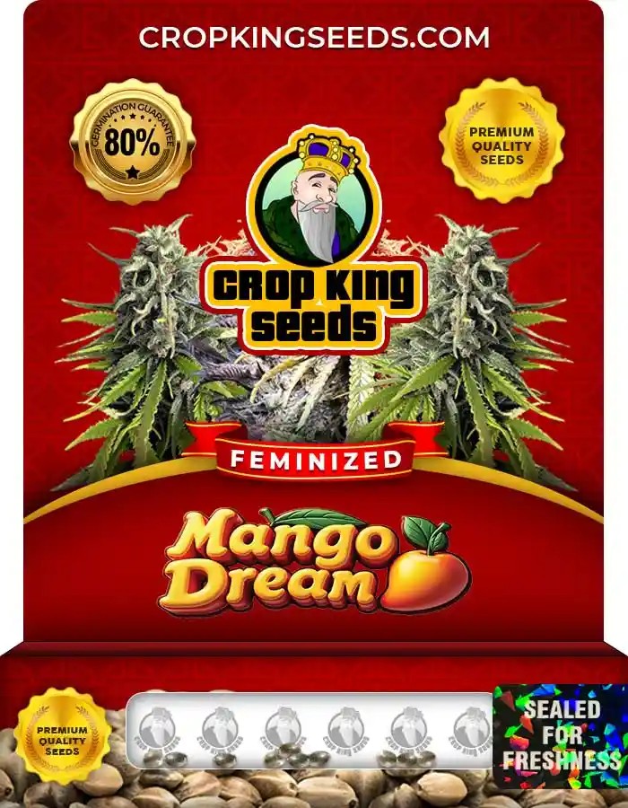 Mango Dream Feminized Seeds