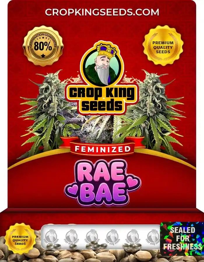 Rae Bae Feminized Seeds