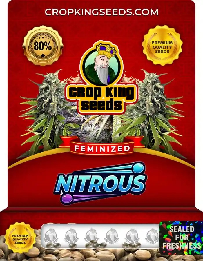 Nitrous Feminized Seeds