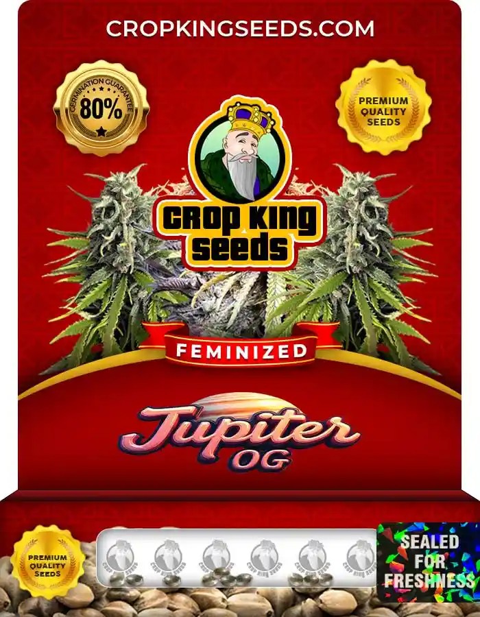 Jupiter OG Strain Feminized Marijuana Seeds