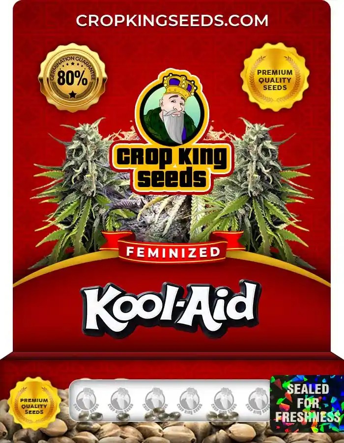 Kool Aid Strain Feminized Marijuana Seeds