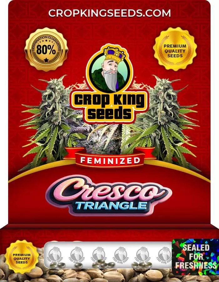 Cresco Triangle Feminized Seeds