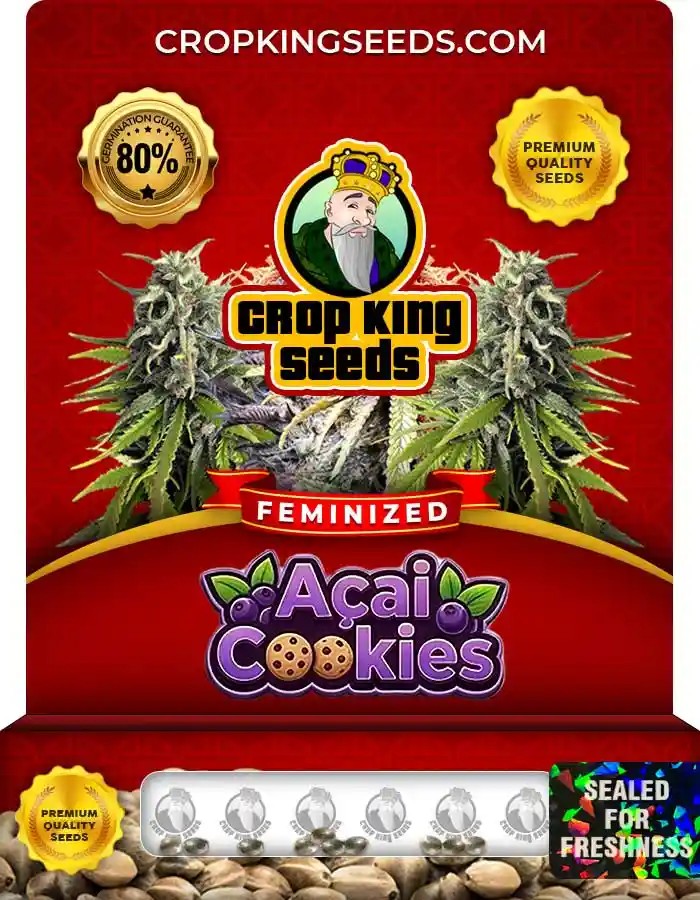 Acai Cookies Strain Feminized Marijuana Seeds
