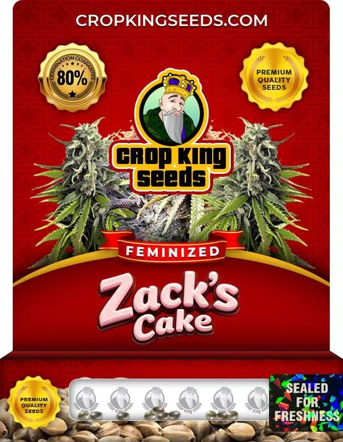 Zacks Cake Strain Feminized Marijuana Seeds