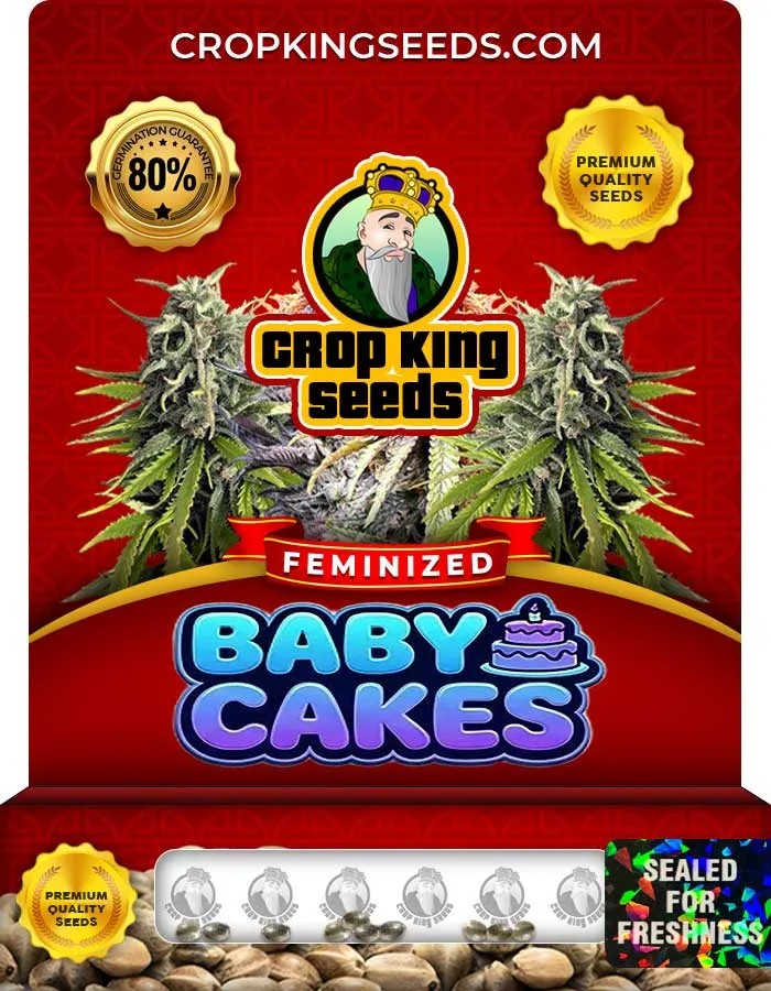 Baby Cakes Strain Feminized Seeds