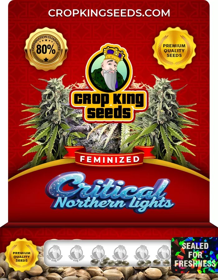 Critical Northern Lights Feminized Marijuana Seeds