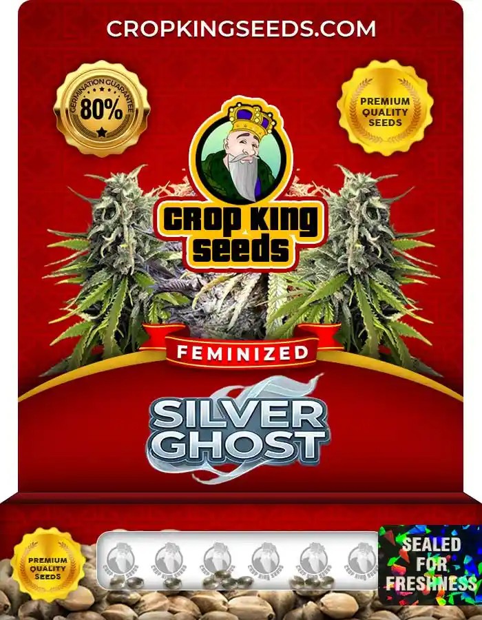 Silver Ghost Strain Feminized Marijuana Seeds