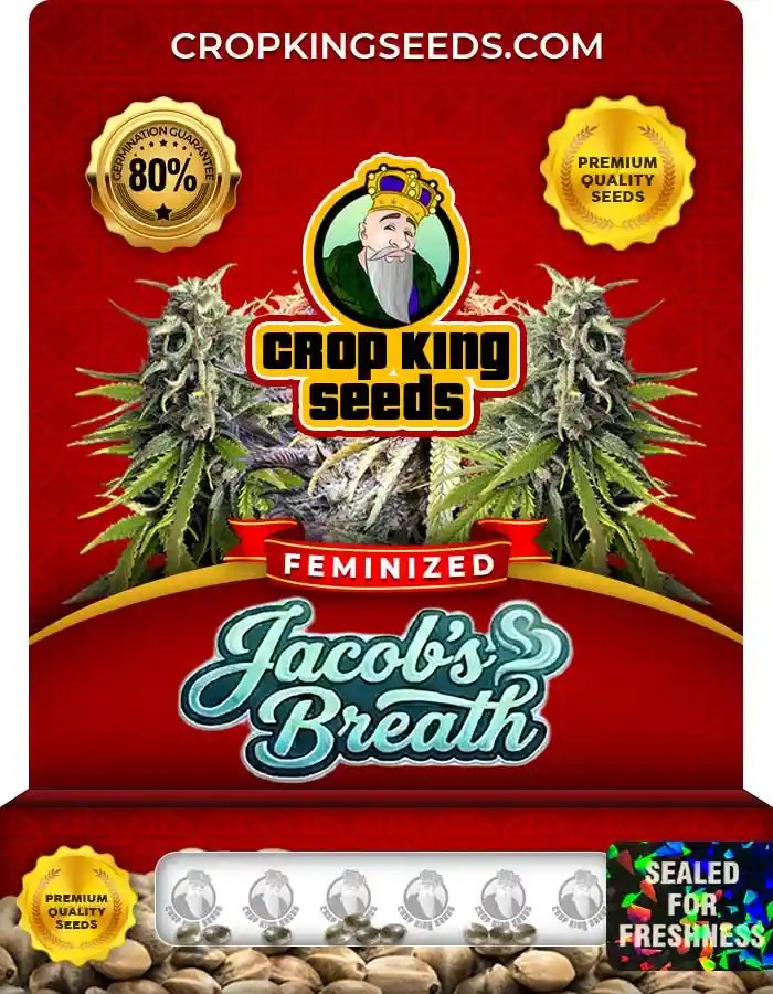 Jacob’s Breath Strain Feminized Seeds