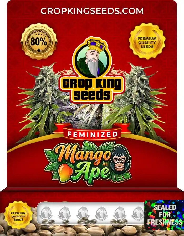 Mango Ape Strain Feminized Seeds