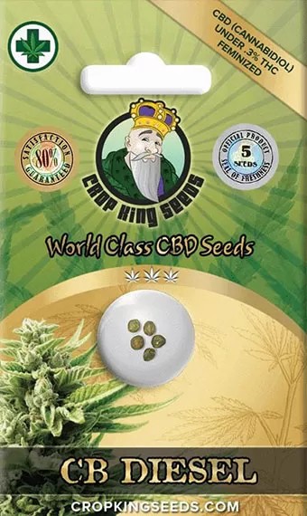 CB Diesel Strain CBD Feminized Marijuana Seeds