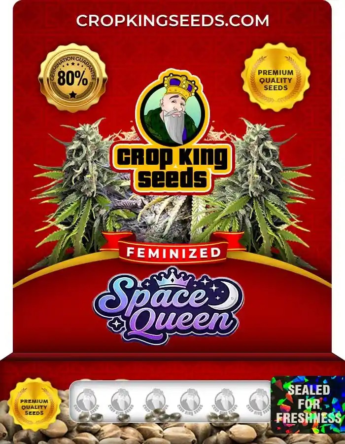 Space Queen Feminized Seeds