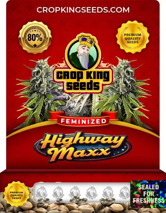 Highway Maxx Feminized Seeds