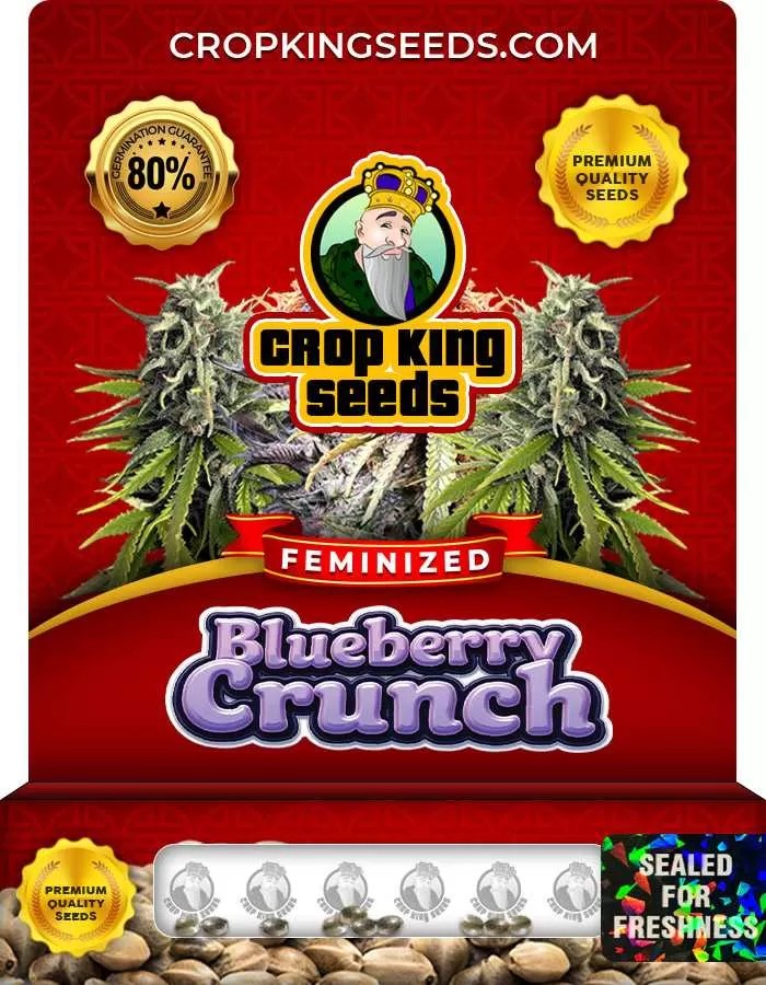 Blueberry Crunch Feminized Seeds