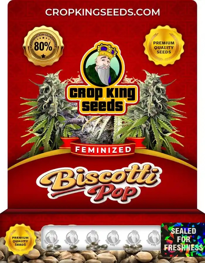 Biscotti Pop Feminized Seeds