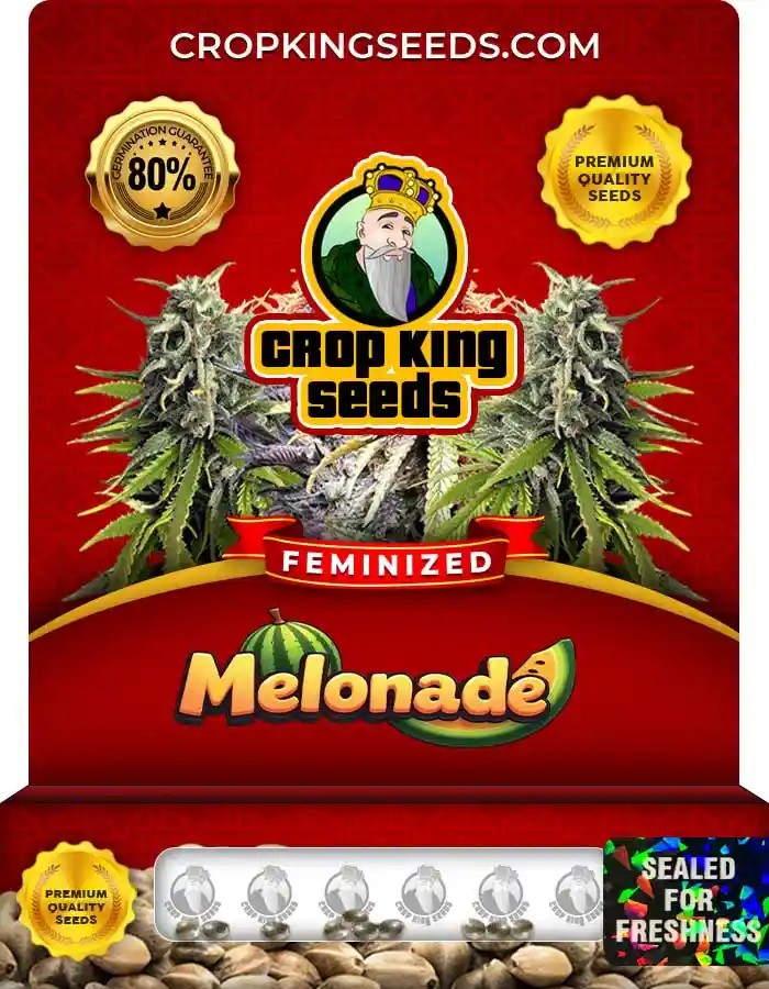 Melonade Strain Feminized Marijuana Seeds